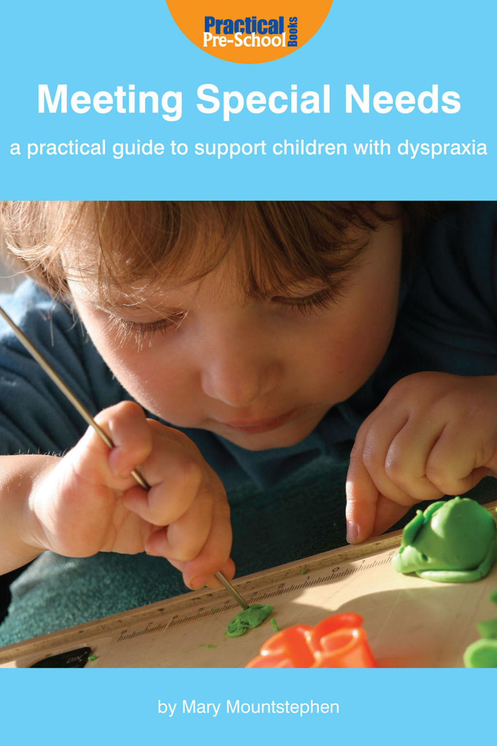 Meeting Special Needs: A practical guide to support children with Dyspraxia 1st Edition - (PDF/EPUB Version)