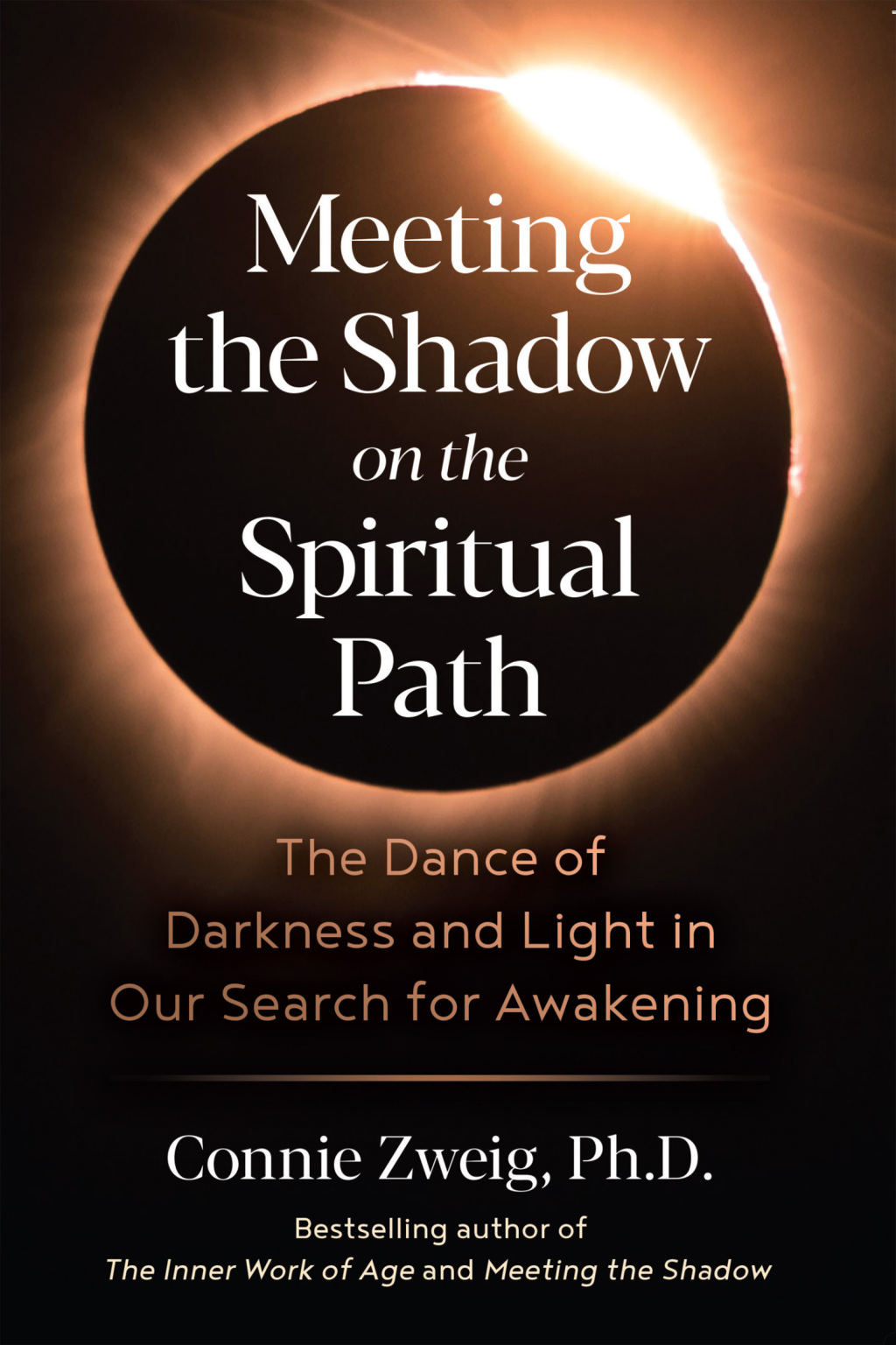 Meeting the Shadow on the Spiritual Path The Dance of Darkness and Light in Our Search for Awakening 5th Edition - (PDF/EPUB Version)