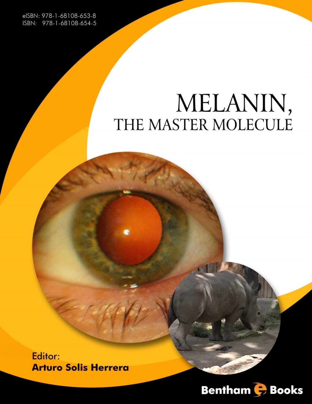 Melanin, the Master Molecule 1st Edition â€“ PDF/EPUB Version Downloadable