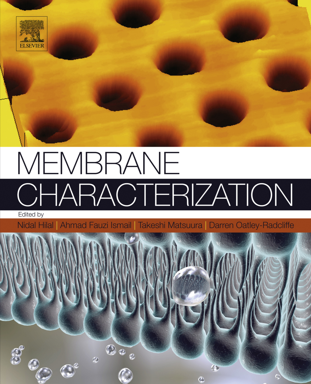 Membrane Characterization  â€“ PDF/EPUB Version Downloadable