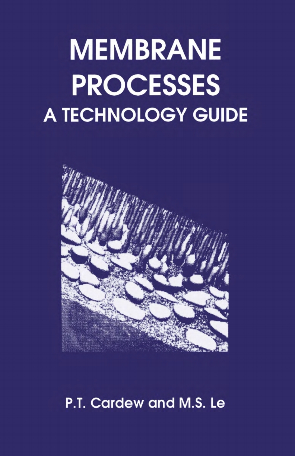 Membrane Processes A Technology Guide 1st Edition â€“ PDF/EPUB Version Downloadable