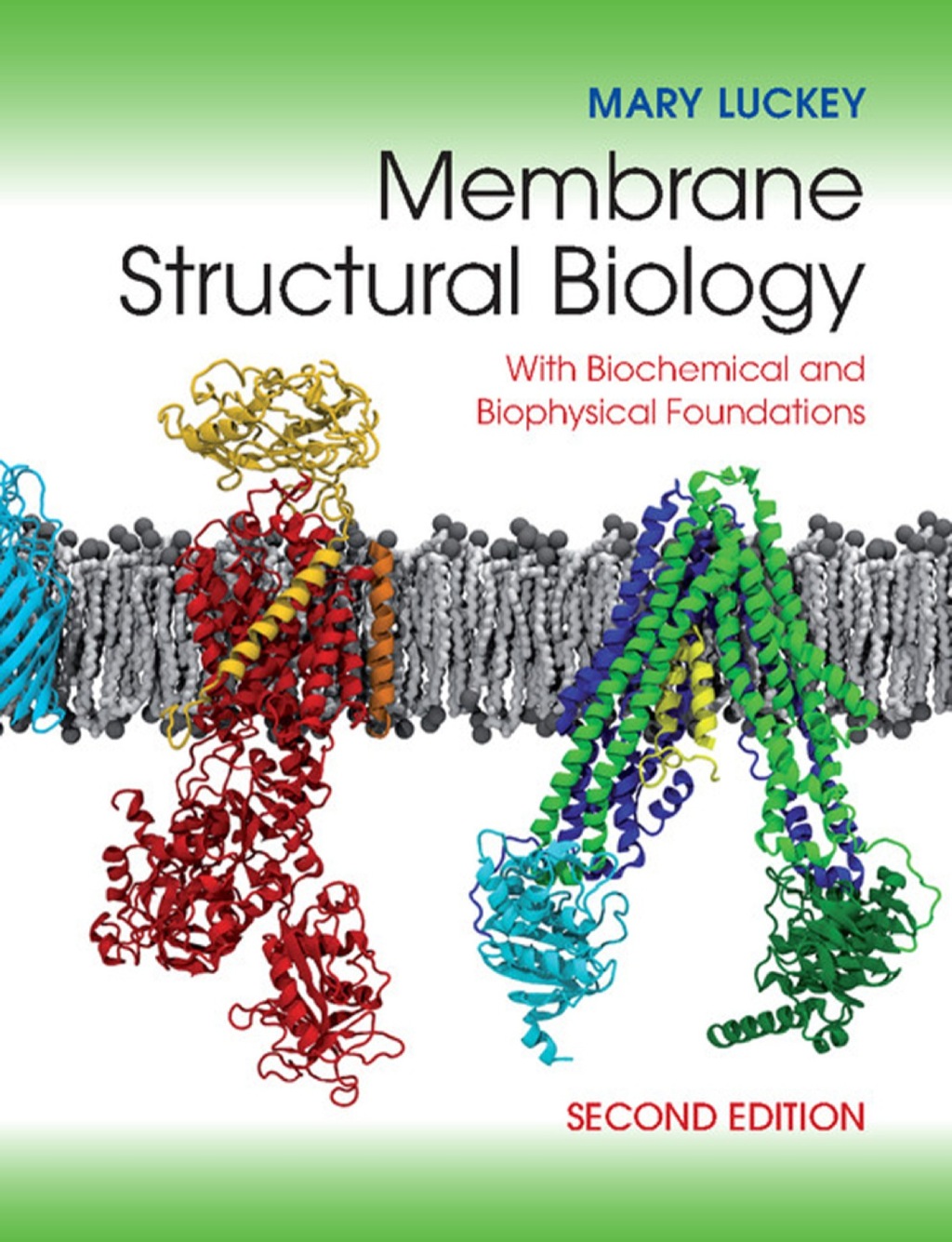 Membrane Structural Biology With Biochemical and Biophysical Foundations 2nd Edition â€“ PDF/EPUB Version Downloadable