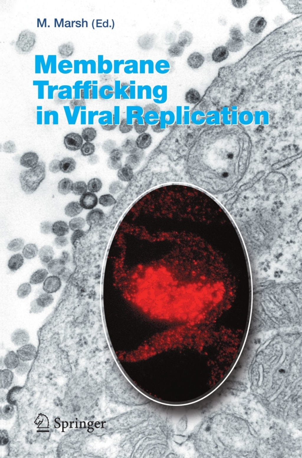 Membrane Trafficking in Viral Replication 1st Edition â€“ PDF/EPUB Version Downloadable