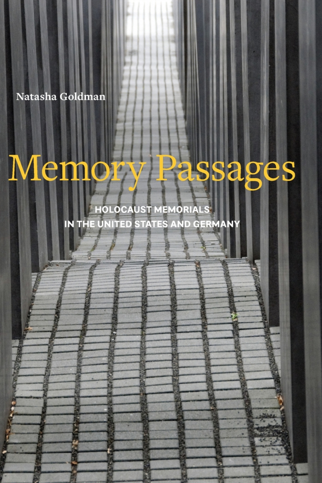 Memory Passages Holocaust Memorials in the United States and Germany  â€“ PDF/EPUB Version Downloadable