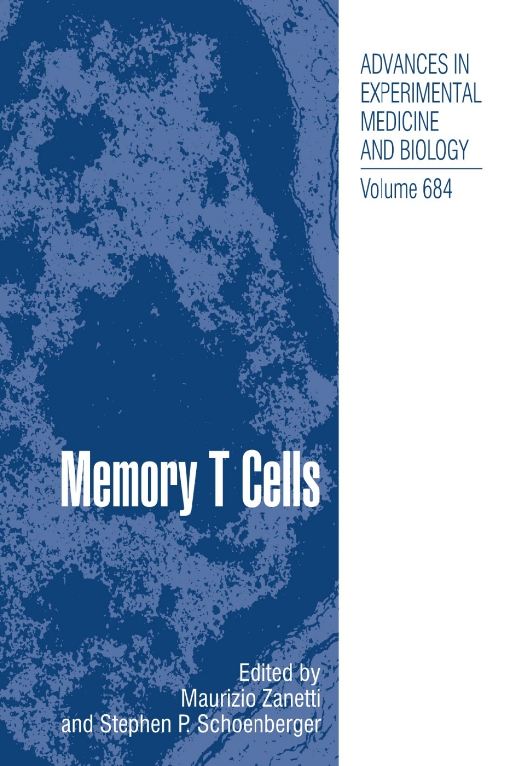 Memory T Cells 1st Edition â€“ PDF/EPUB Version Downloadable