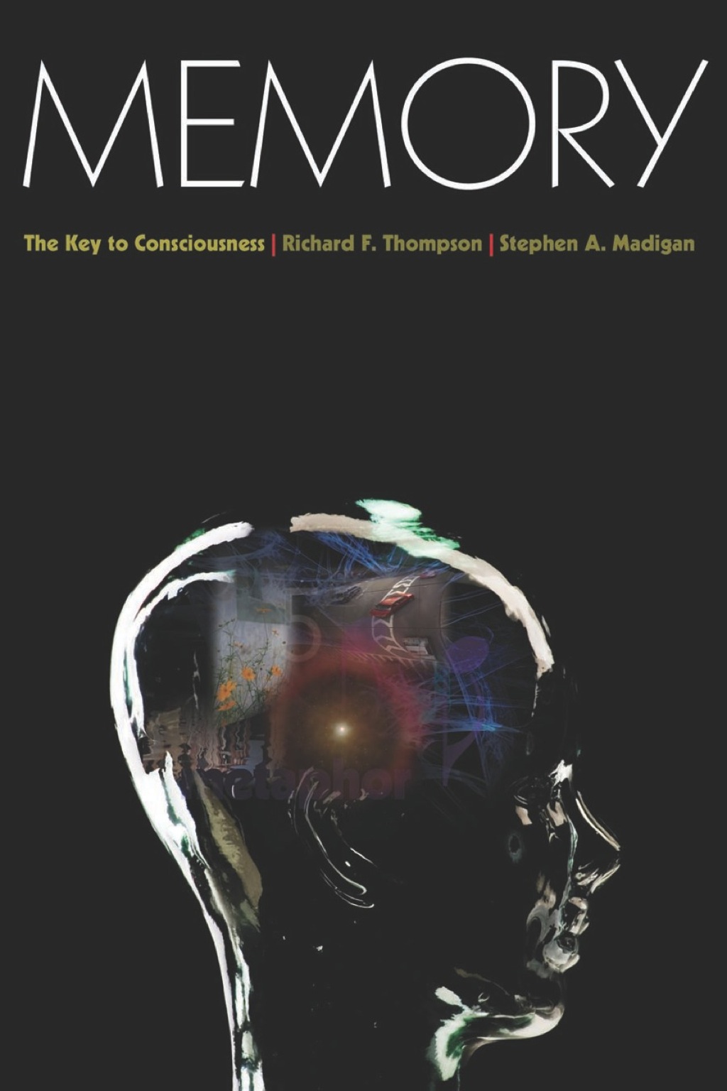 Memory The Key to Consciousness  â€“ PDF/EPUB Version Downloadable