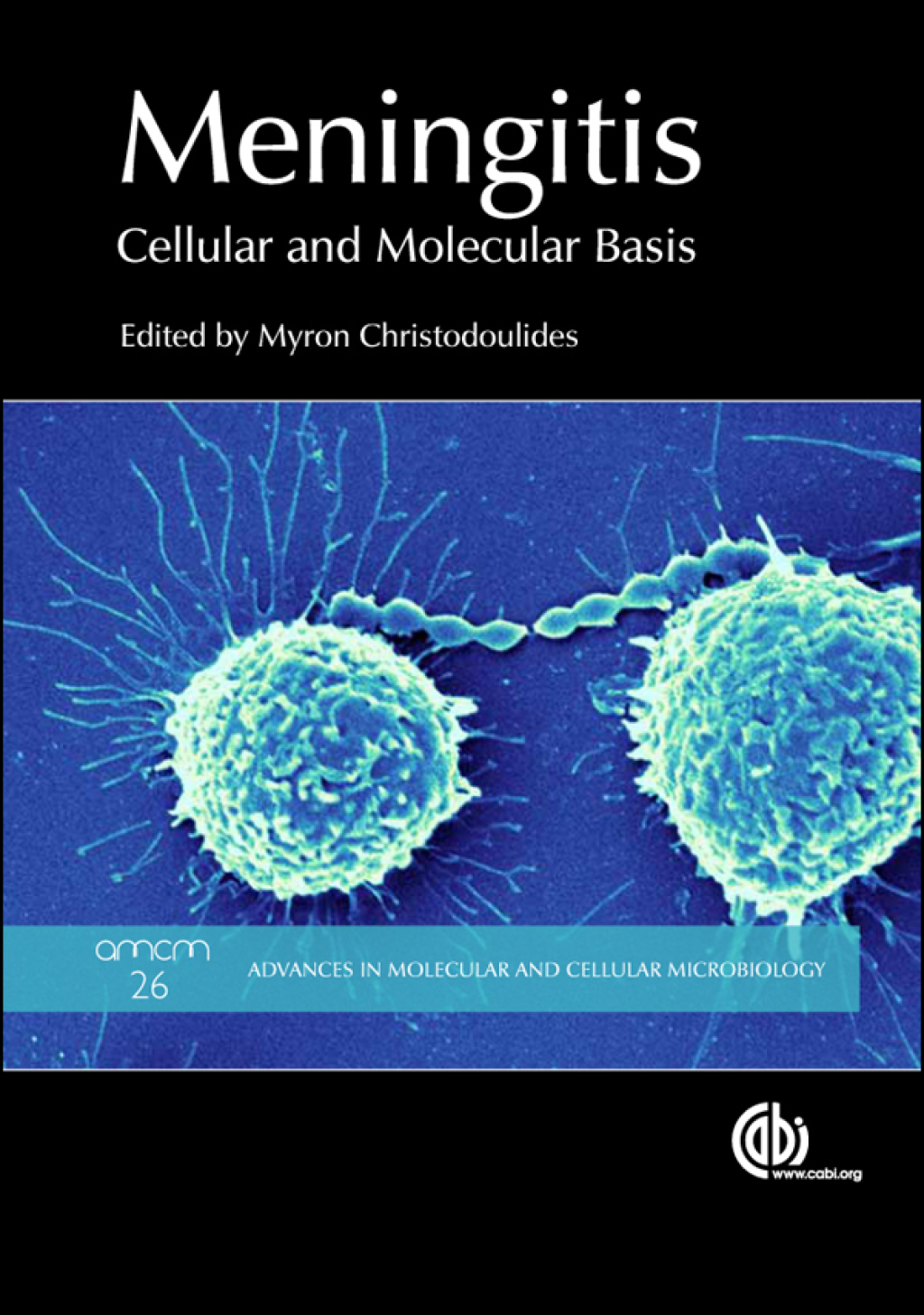 Meningitis Cellular and Molecular Basis 1st Edition â€“ PDF/EPUB Version Downloadable