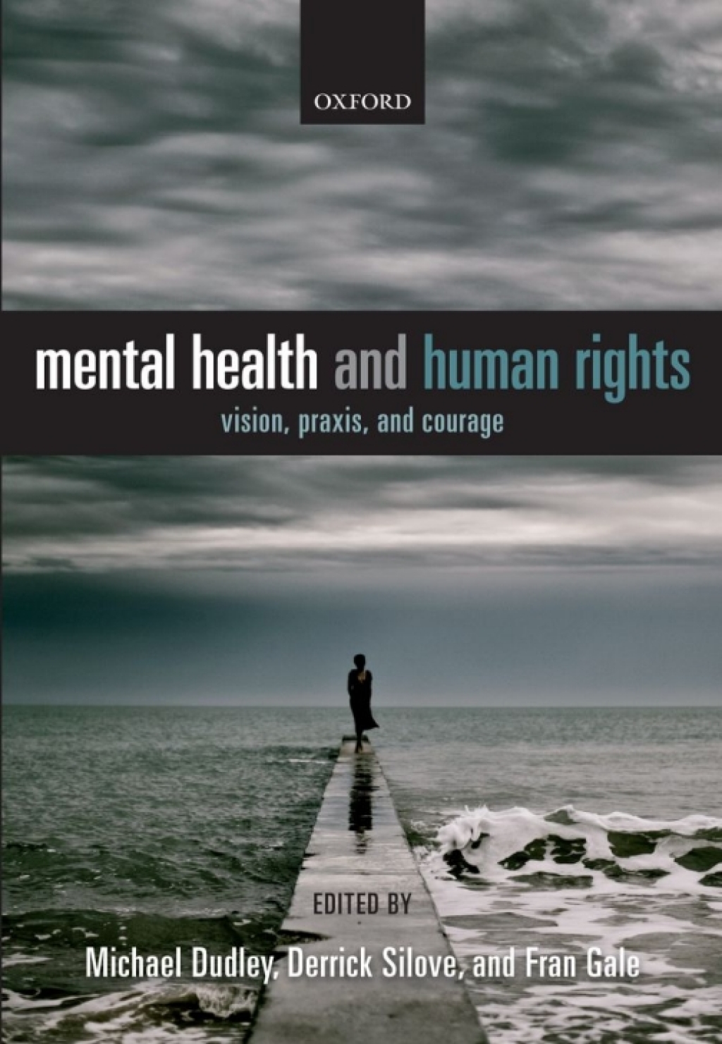 Mental Health and Human Rights Vision, praxis, and courage 1st Edition â€“ PDF/EPUB Version Downloadable