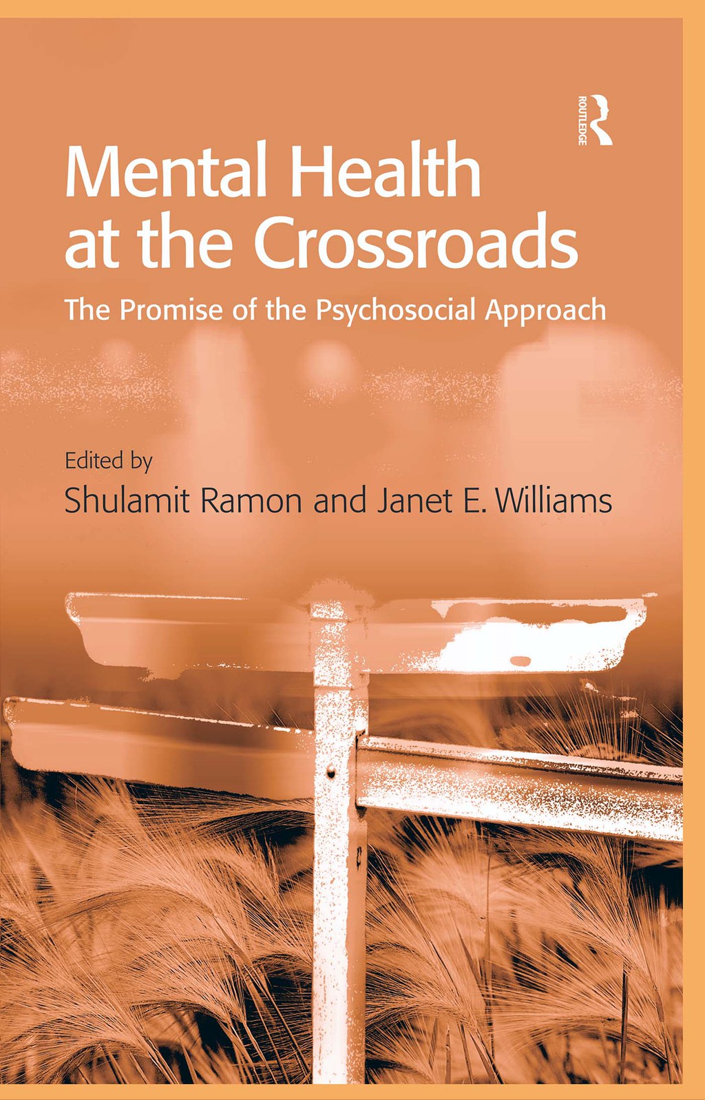 Mental Health at the Crossroads The Promise of the Psychosocial Approach 1st Edition â€“ PDF/EPUB Version Downloadable