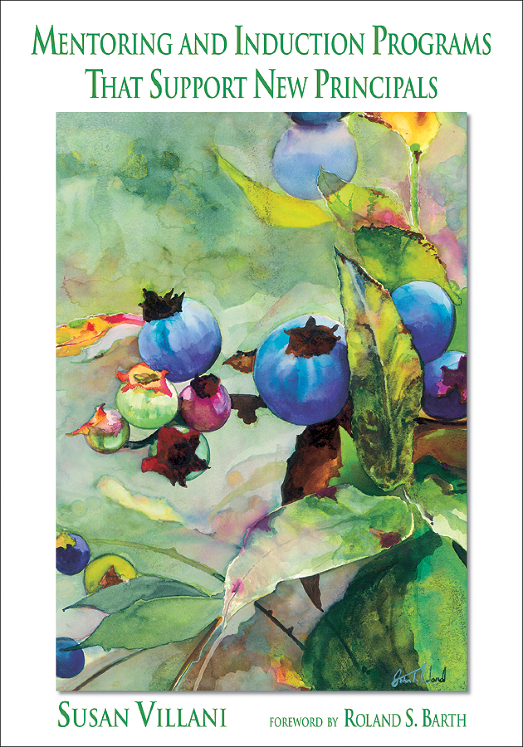 Mentoring and Induction Programs That Support New Principals 1st Edition â€“ PDF/EPUB Version Downloadable