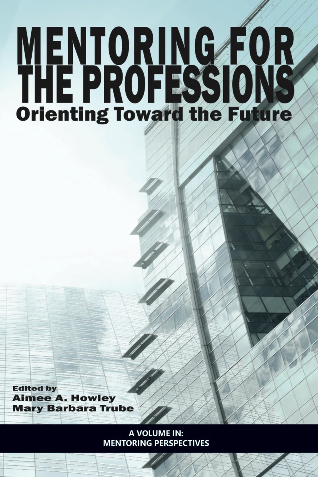 Mentoring for the Professions: Orienting Toward the Future  â€“ PDF/EPUB Version Downloadable