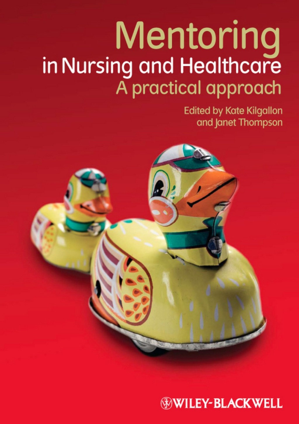 Mentoring in Nursing and Healthcare: A Practical Approach 1st Edition - (PDF/EPUB Version)