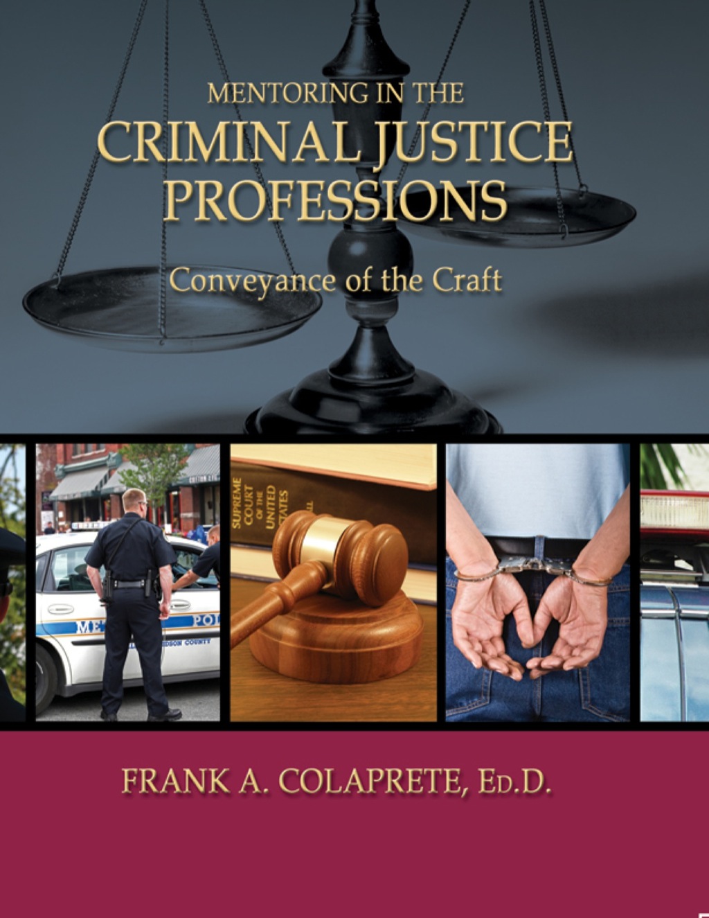 Mentoring in the Criminal Justice Professions Conveyance of the Craft 1st Edition â€“ PDF/EPUB Version Downloadable