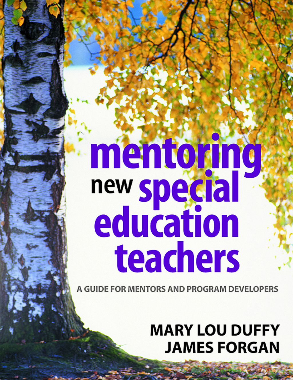 Mentoring New Special Education Teachers A Guide for Mentors and Program Developers 1st Edition â€“ PDF/EPUB Version Downloadable