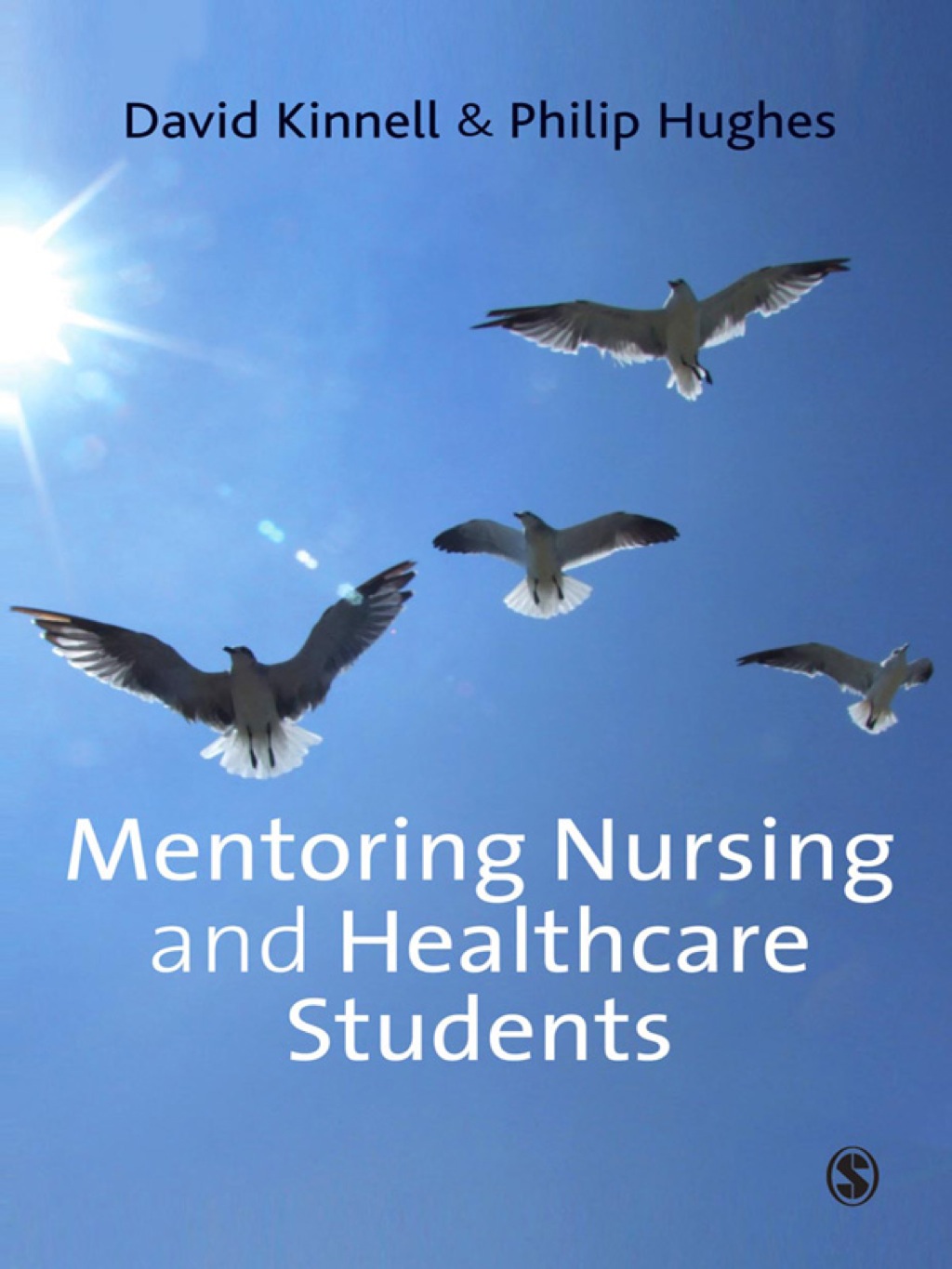Mentoring Nursing and Healthcare Students 1st Edition â€“ PDF/EPUB Version Downloadable