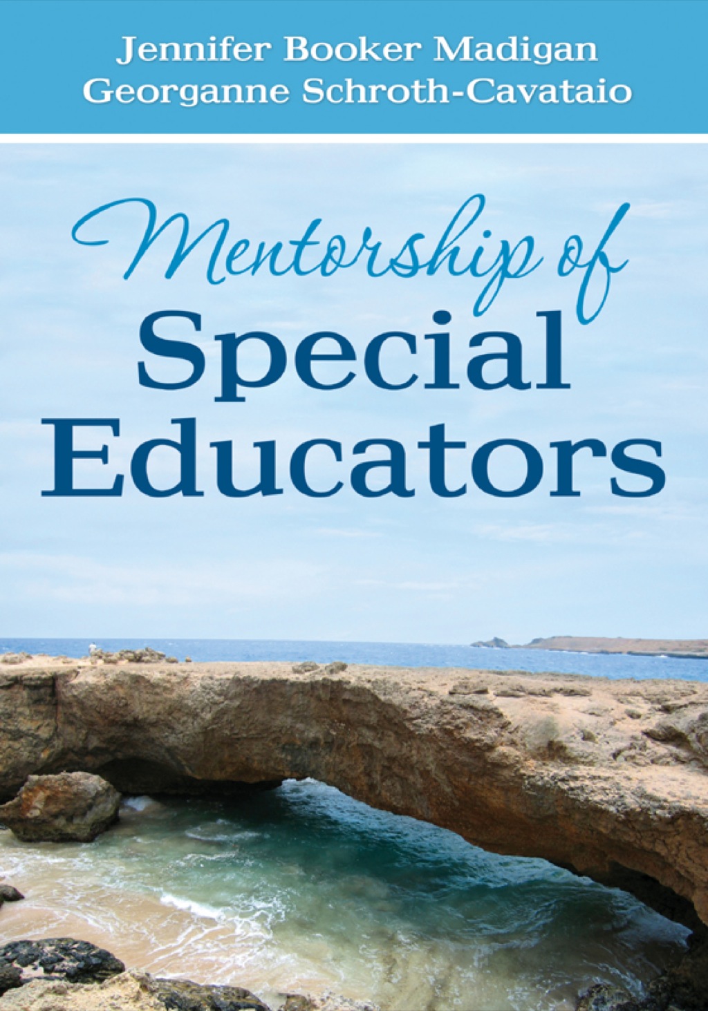 Mentorship of Special Educators 1st Edition - (PDF/EPUB Version)