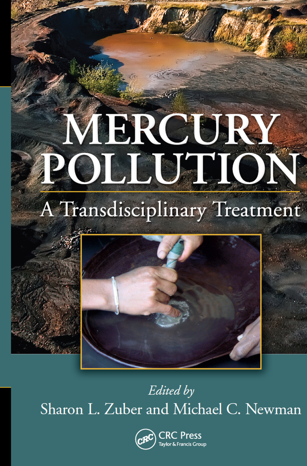 Mercury Pollution A Transdisciplinary Treatment 1st Edition â€“ PDF/EPUB Version Downloadable