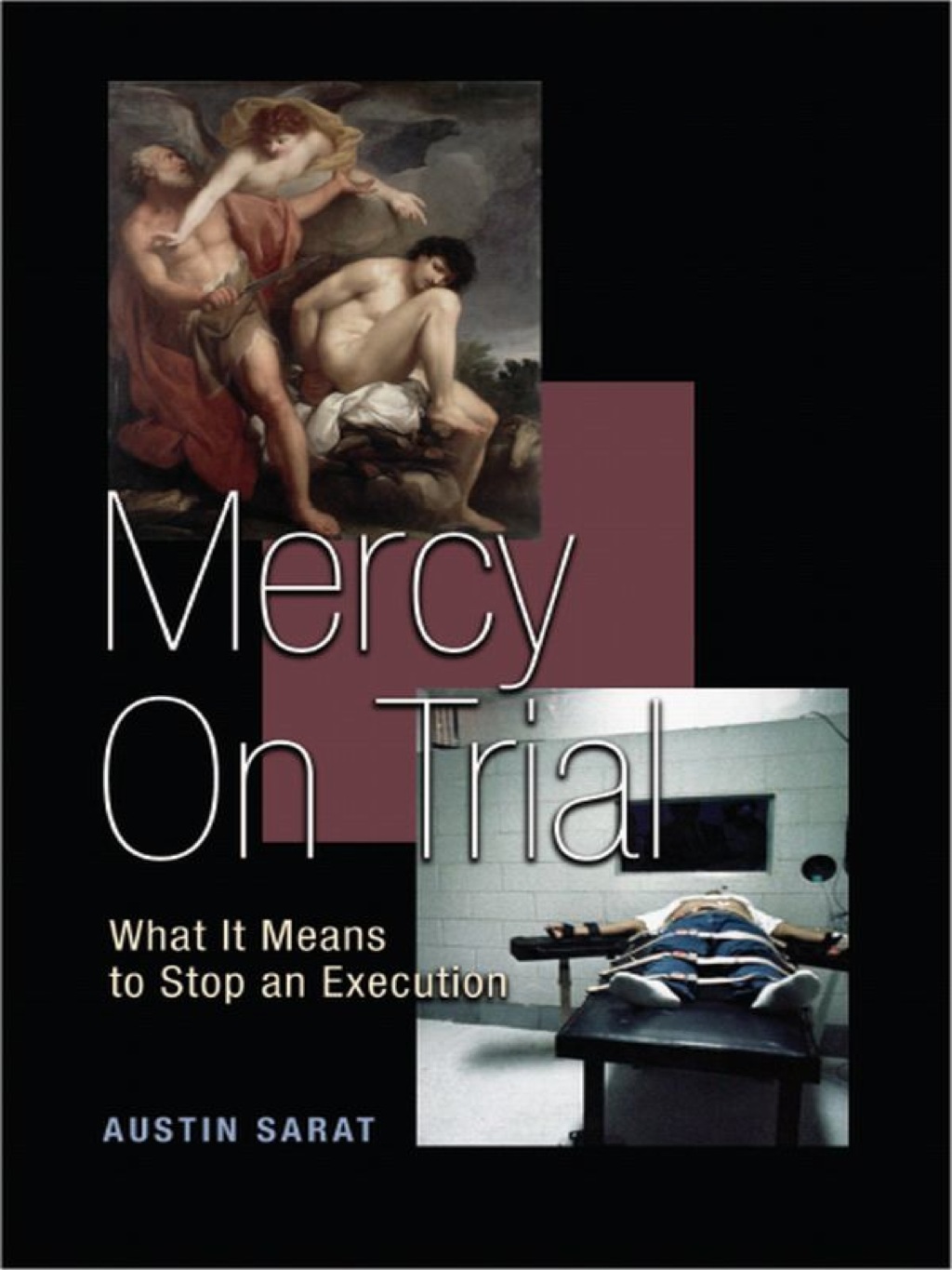 Mercy on Trial What It Means to Stop an Execution  â€“ PDF/EPUB Version Downloadable