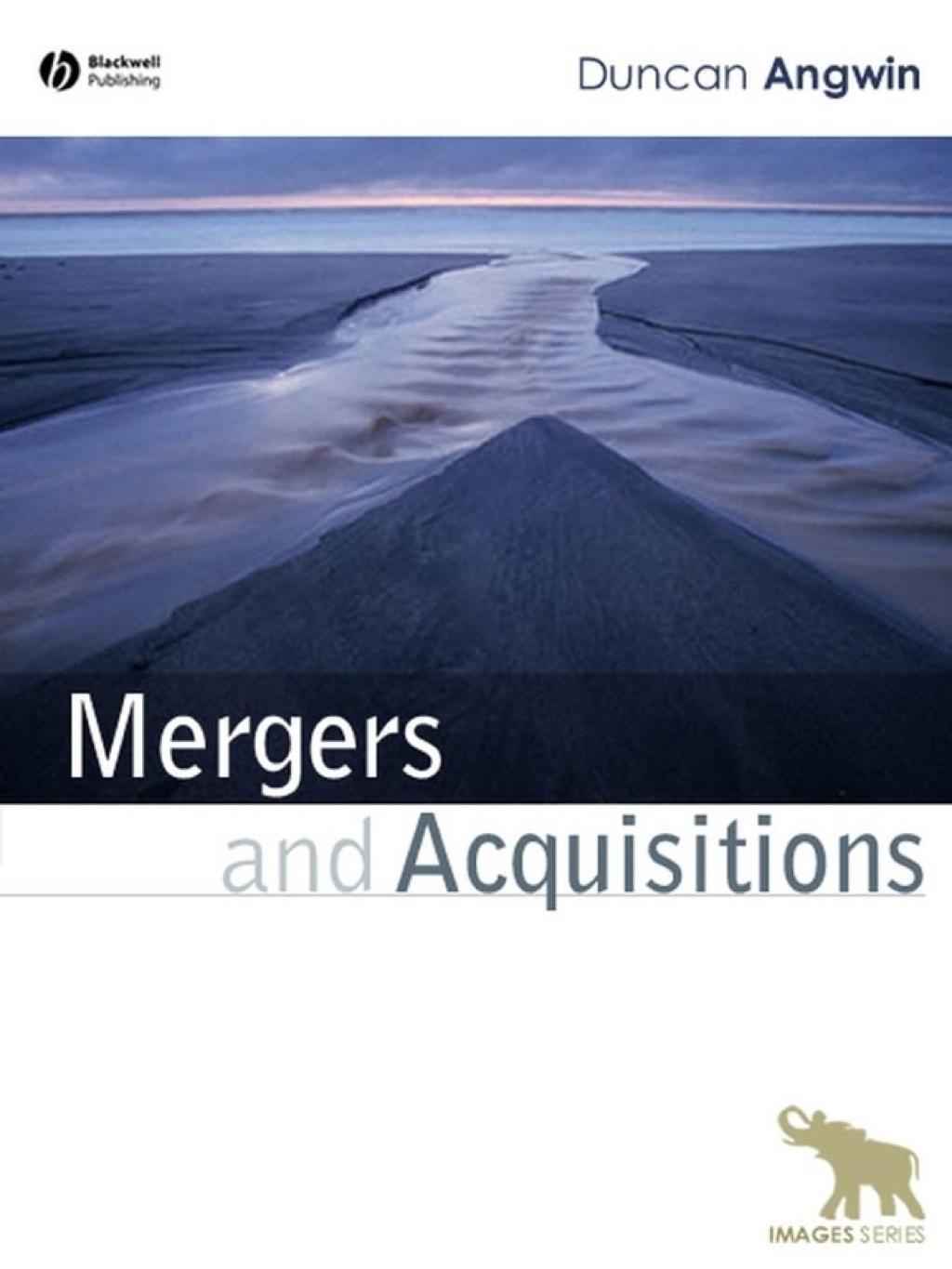 Mergers and Acquisitions 1st Edition â€“ PDF/EPUB Version Downloadable