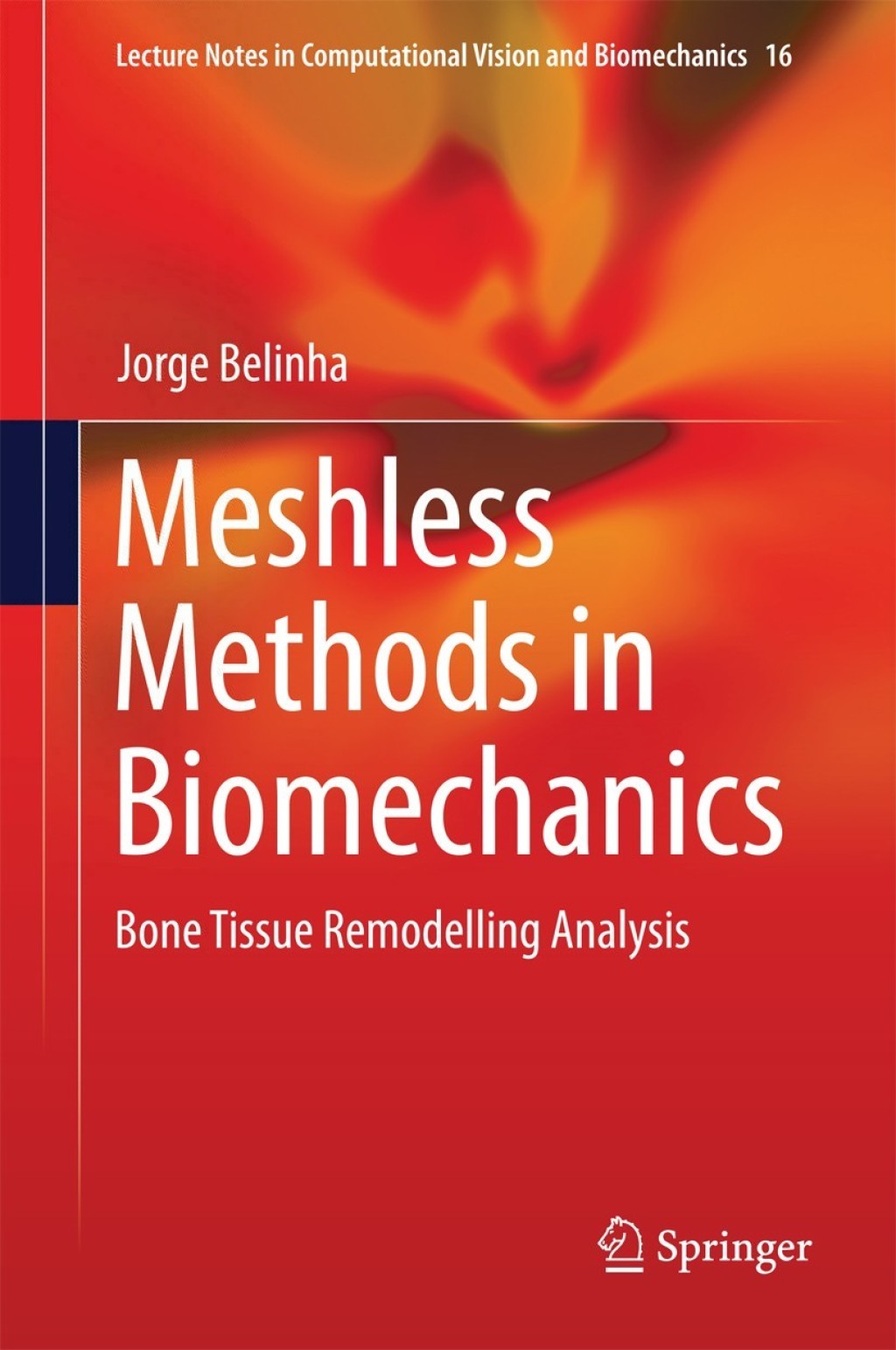 Meshless Methods in Biomechanics Bone Tissue Remodelling Analysis  â€“ PDF/EPUB Version Downloadable