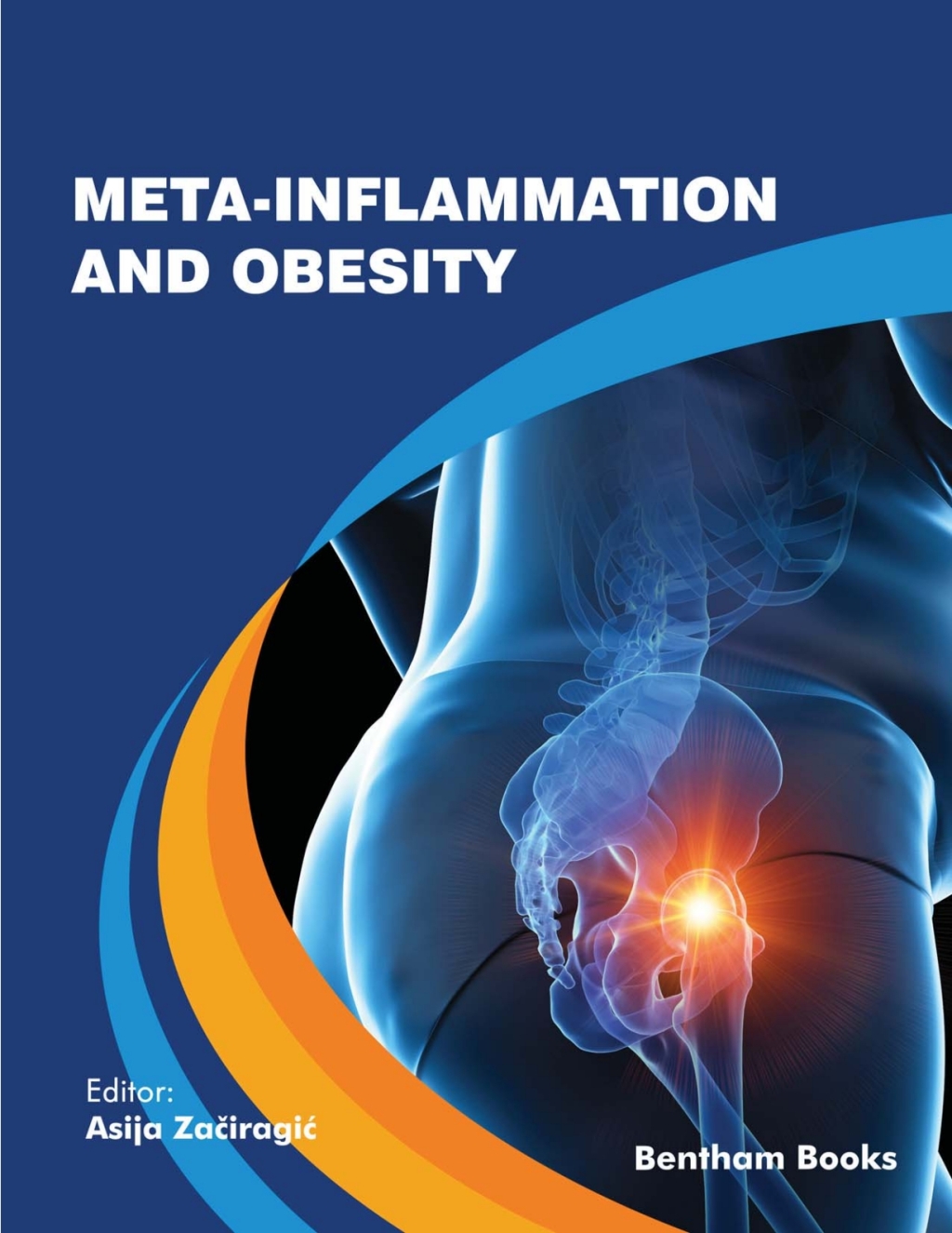 Meta-Inflammation and Obesity 1st Edition â€“ PDF/EPUB Version Downloadable