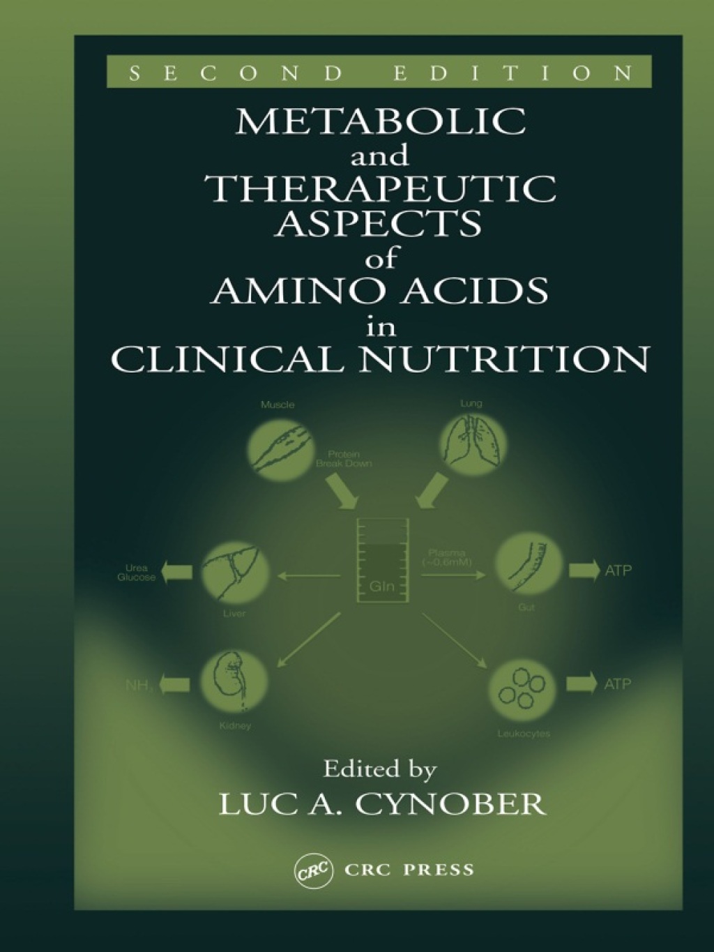 Metabolic & Therapeutic Aspects of Amino Acids in Clinical Nutrition 2nd Edition â€“ PDF/EPUB Version Downloadable