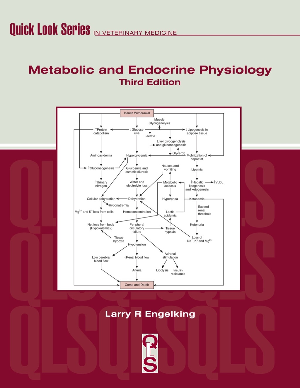 Metabolic and Endocrine Physiology 3rd Edition â€“ PDF/EPUB Version Downloadable