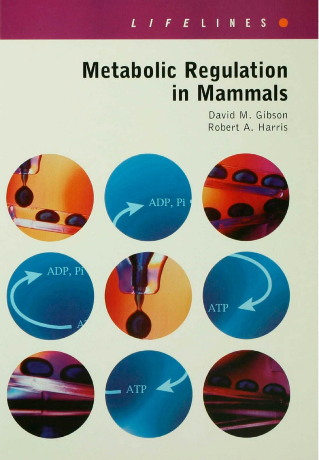 Metabolic Regulation in Mammals 1st Edition â€“ PDF/EPUB Version Downloadable