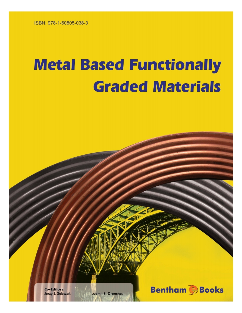 Metal Based Functionally Graded Materials 1st Edition â€“ PDF/EPUB Version Downloadable