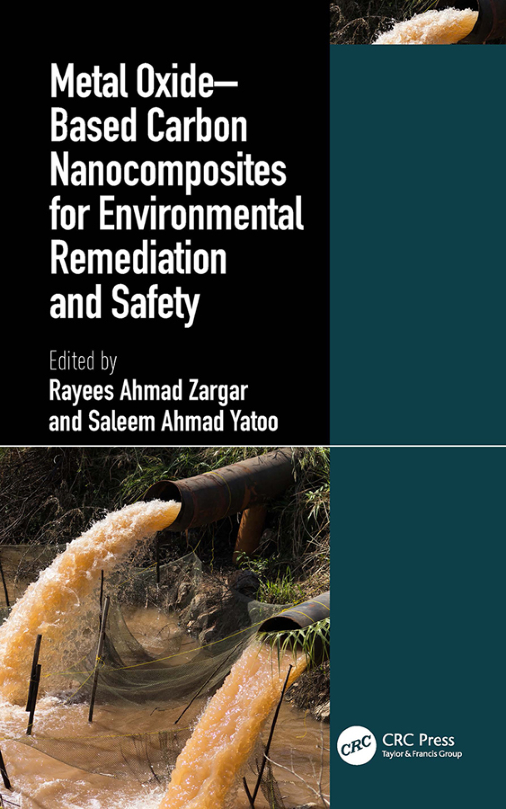 Metal Oxideâ€“Based Carbon Nanocomposites for Environmental Remediation and Safety 1st Edition â€“ PDF/EPUB Version Downloadable