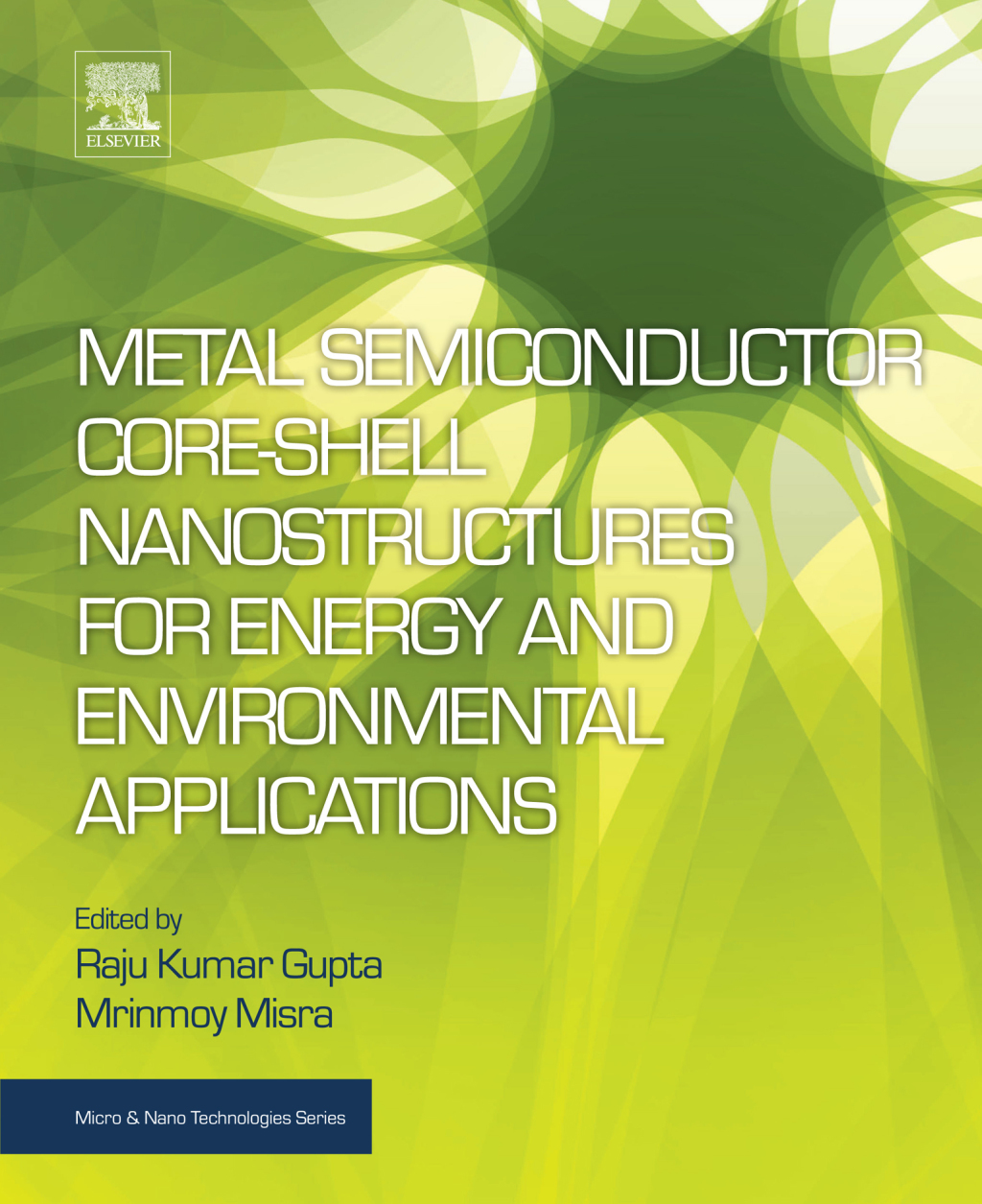 Metal Semiconductor Core-shell Nanostructures for Energy and Environmental Applications  â€“ PDF/EPUB Version Downloadable