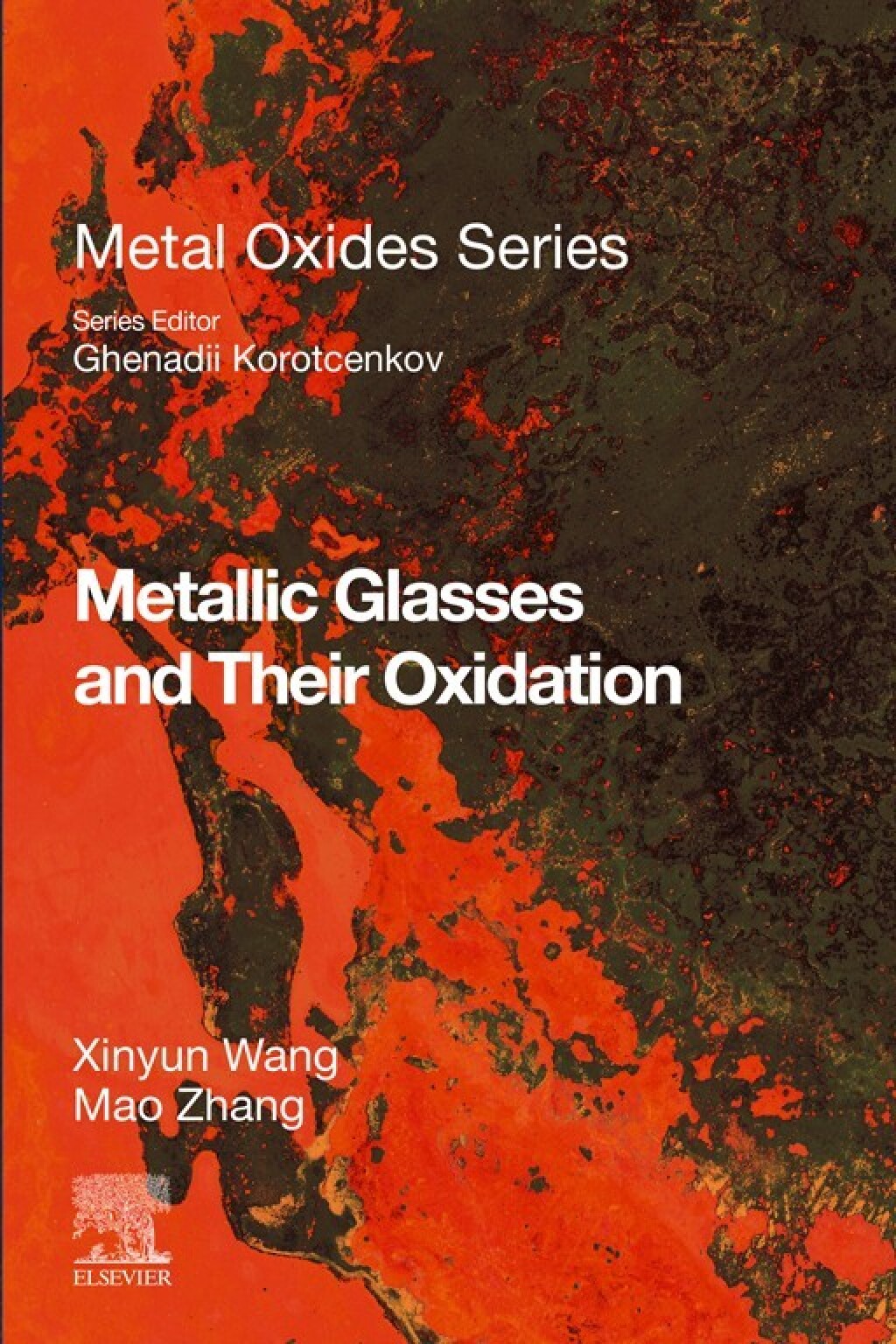 Metallic Glasses and Their Oxidation 1st Edition â€“ PDF/EPUB Version Downloadable