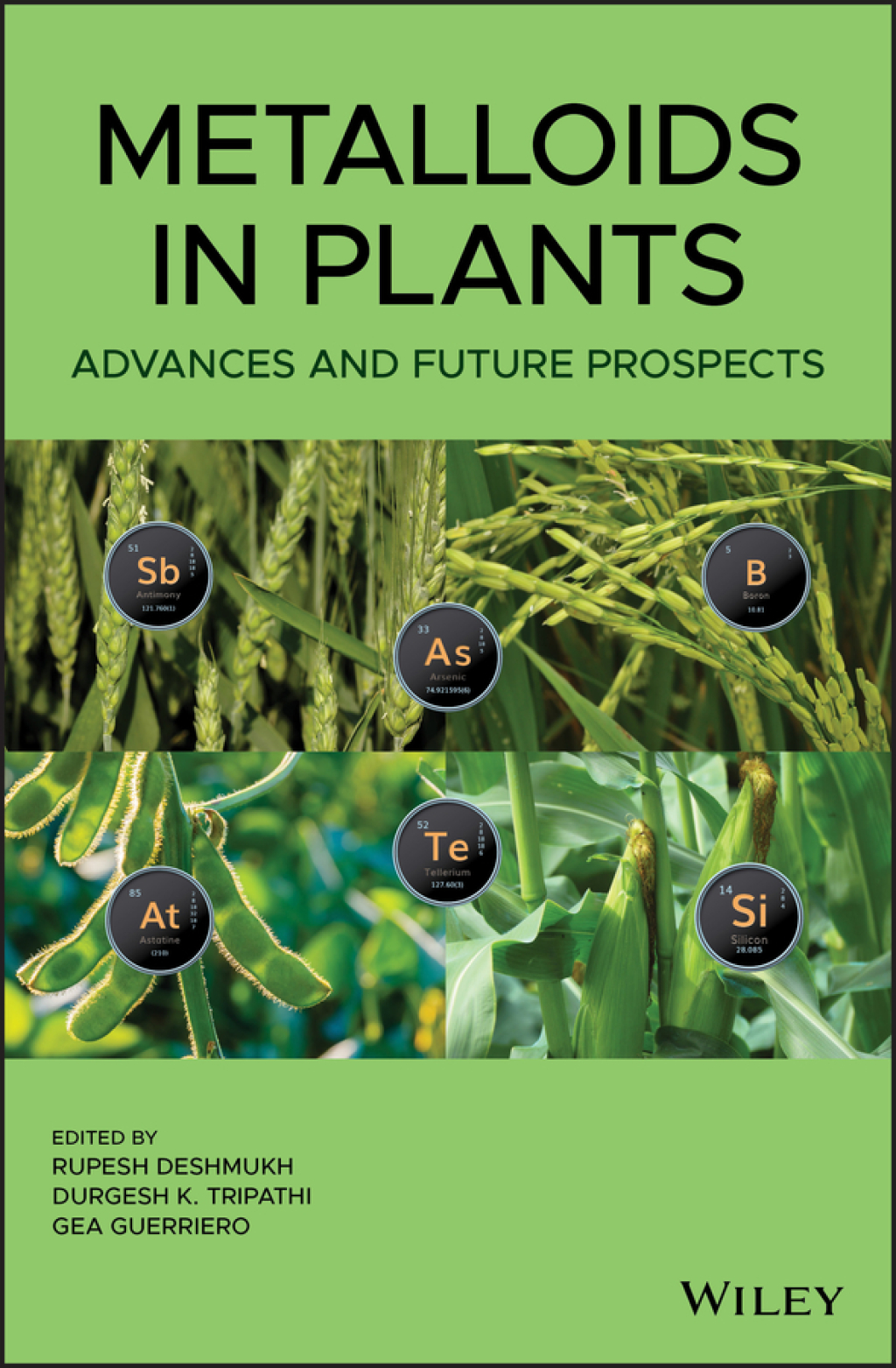 Metalloids in Plants Advances and Future Prospects 1st Edition â€“ PDF/EPUB Version Downloadable