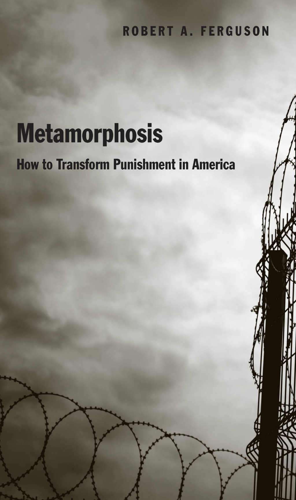 Metamorphosis How to Transform Punishment in America  â€“ PDF/EPUB Version Downloadable