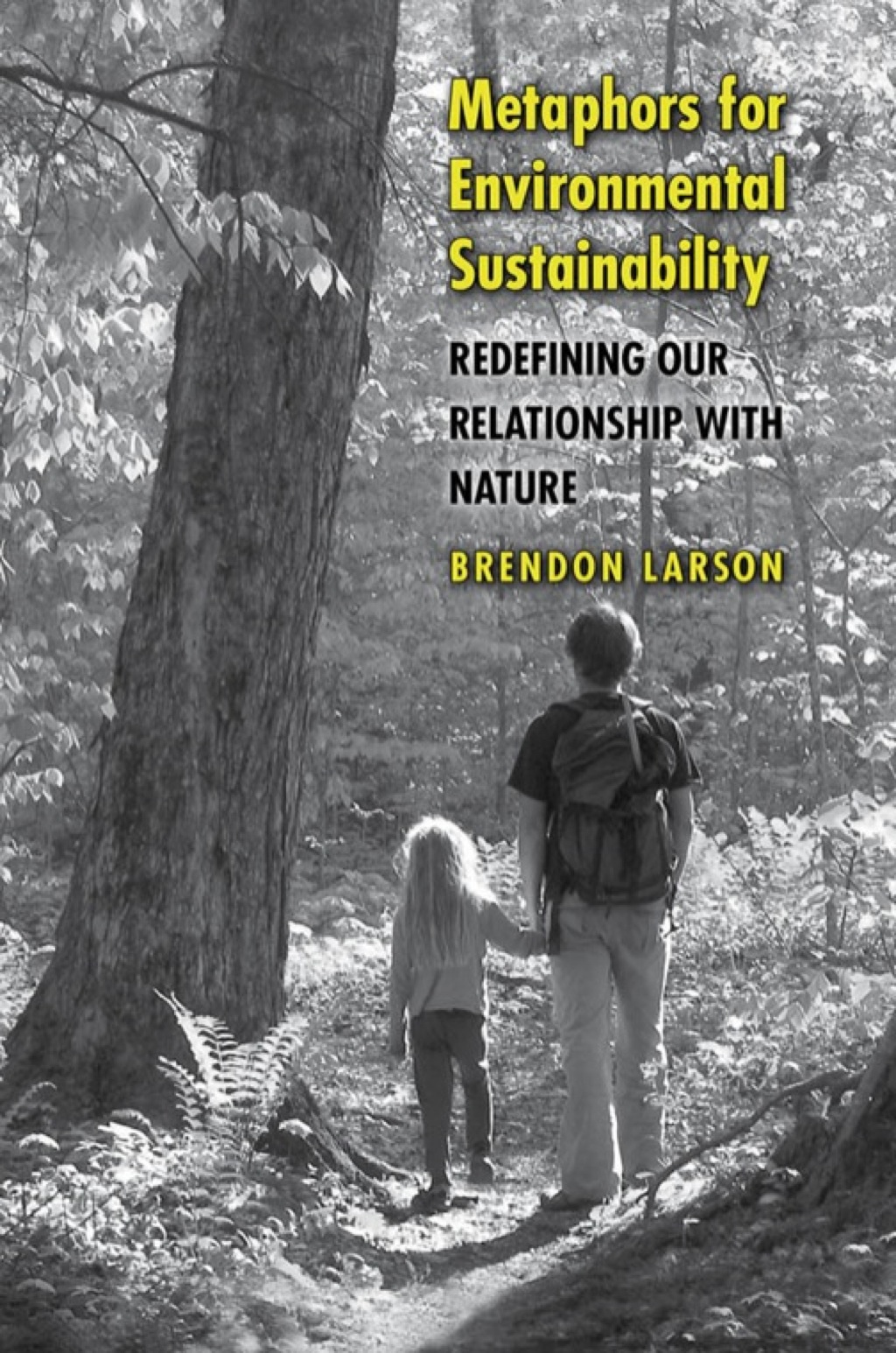 Metaphors for Environmental Sustainability  â€“ PDF/EPUB Version Downloadable