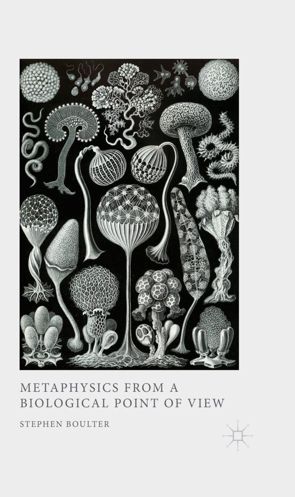 Metaphysics from a Biological Point of View  â€“ PDF/EPUB Version Downloadable