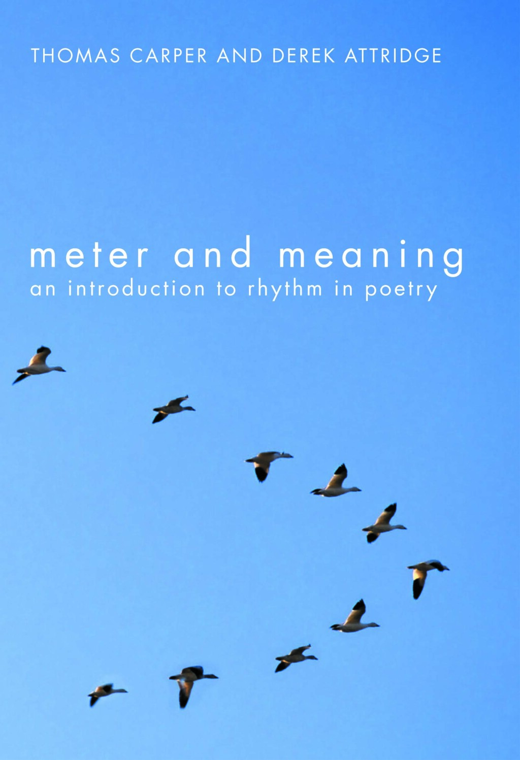 Meter and Meaning An Introduction to Rhythm in Poetry 1st Edition â€“ PDF/EPUB Version Downloadable