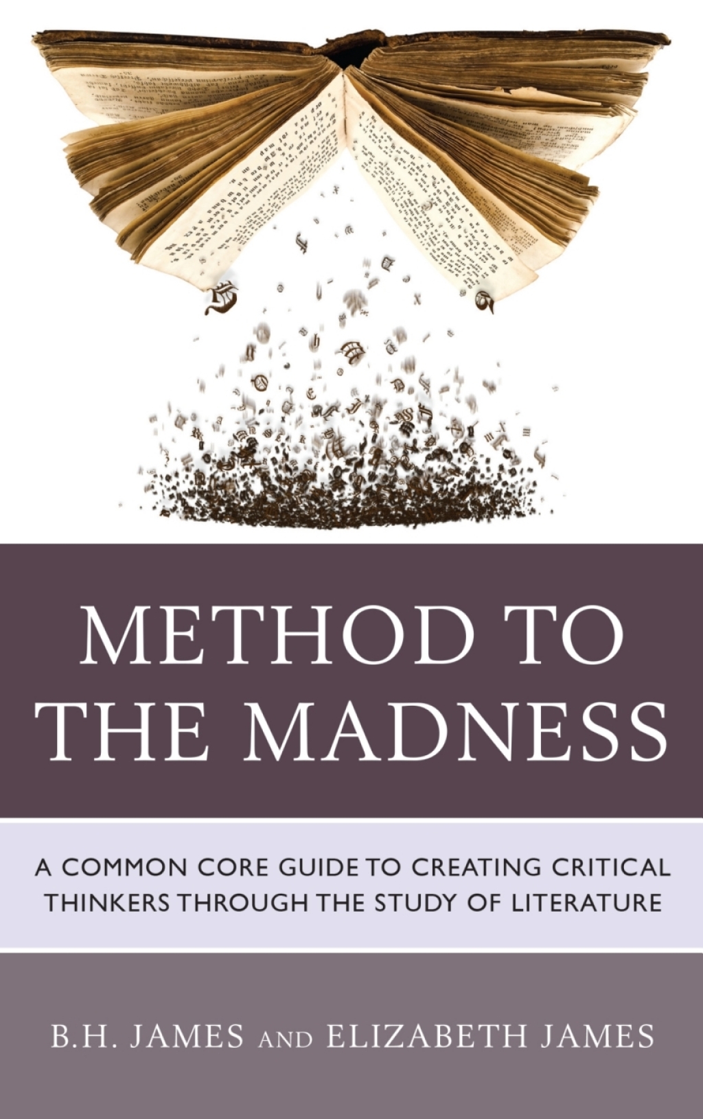 Method to the Madness A Common Core Guide to Creating Critical Thinkers Through the Study of Literature 1st Edition â€“ PDF/EPUB Version Downloadable