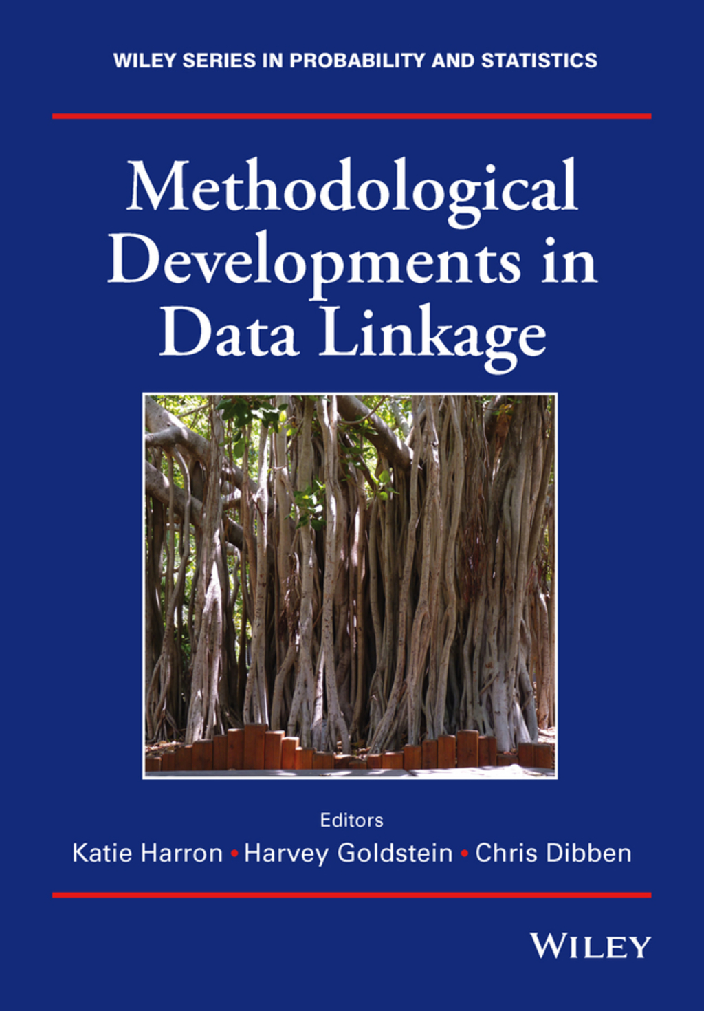 Methodological Developments in Data Linkage 1st Edition â€“ PDF/EPUB Version Downloadable