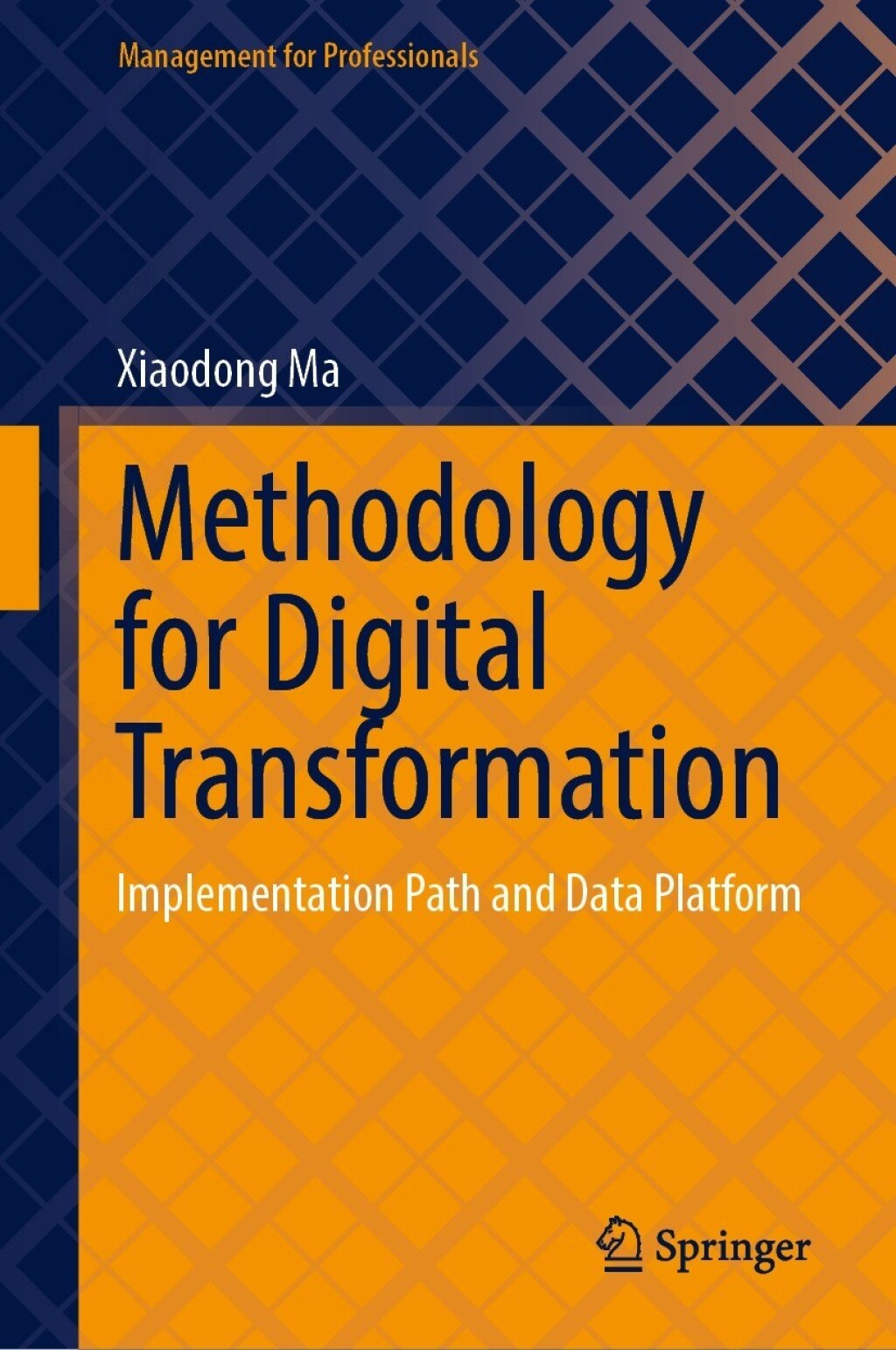 Methodology for Digital Transformation Implementation Path and Data Platform  â€“ PDF/EPUB Version Downloadable