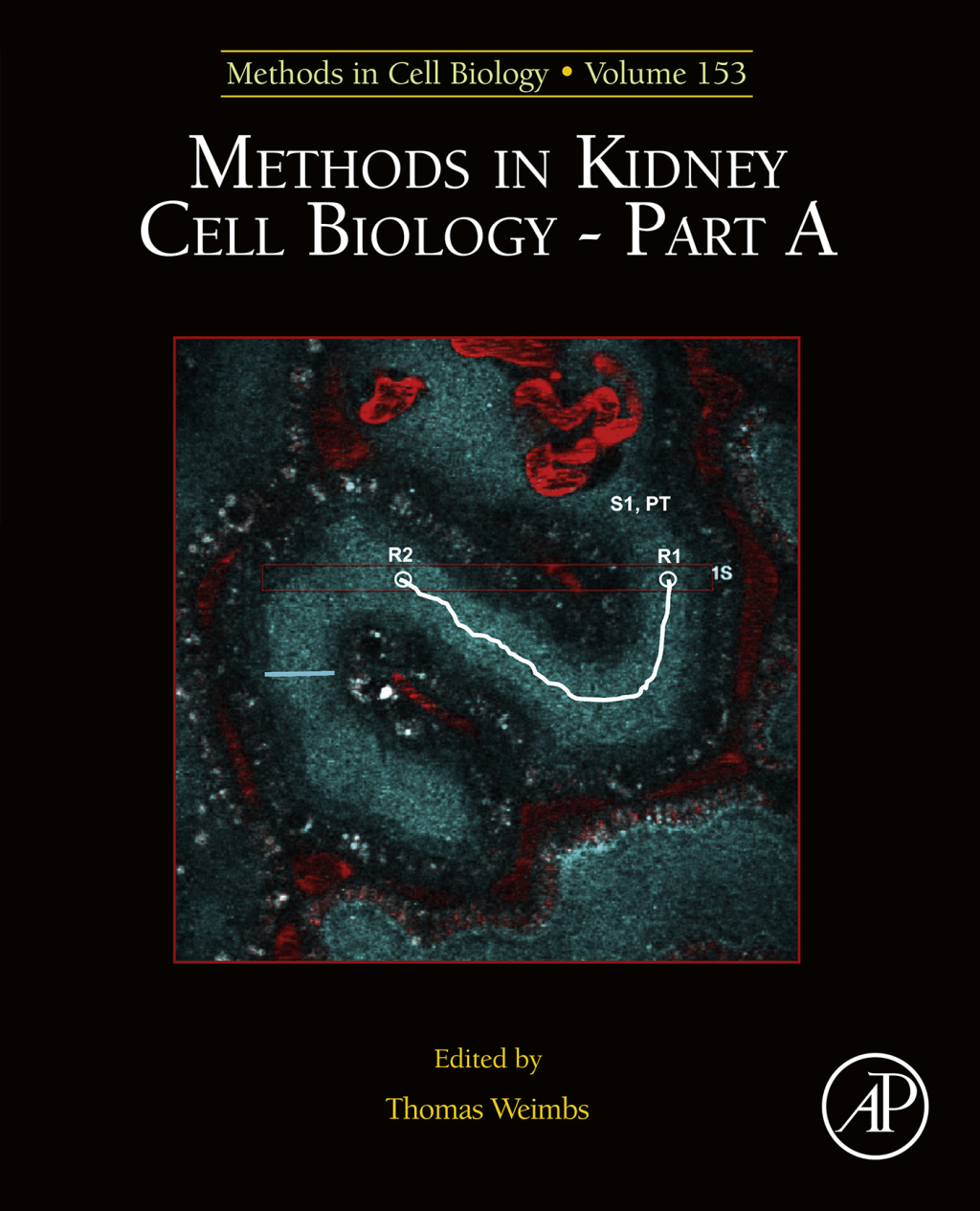 Methods in Kidney Cell Biology Part A  â€“ PDF/EPUB Version Downloadable