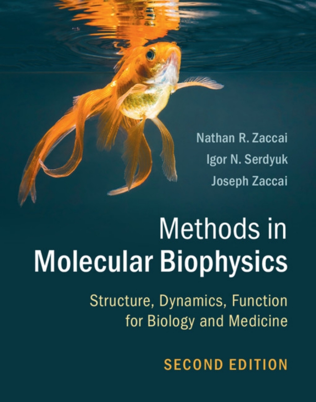 Methods in Molecular Biophysics Structure, Dynamics, Function for Biology and Medicine 2nd Edition â€“ PDF/EPUB Version Downloadable