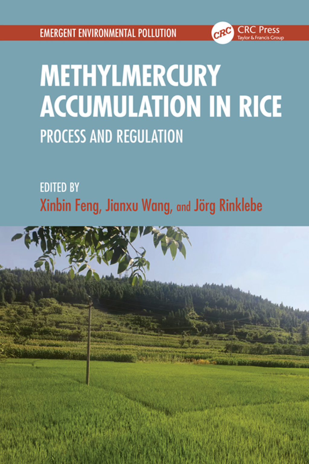 Methylmercury Accumulation in Rice Process and Regulation 1st Edition â€“ PDF/EPUB Version Downloadable
