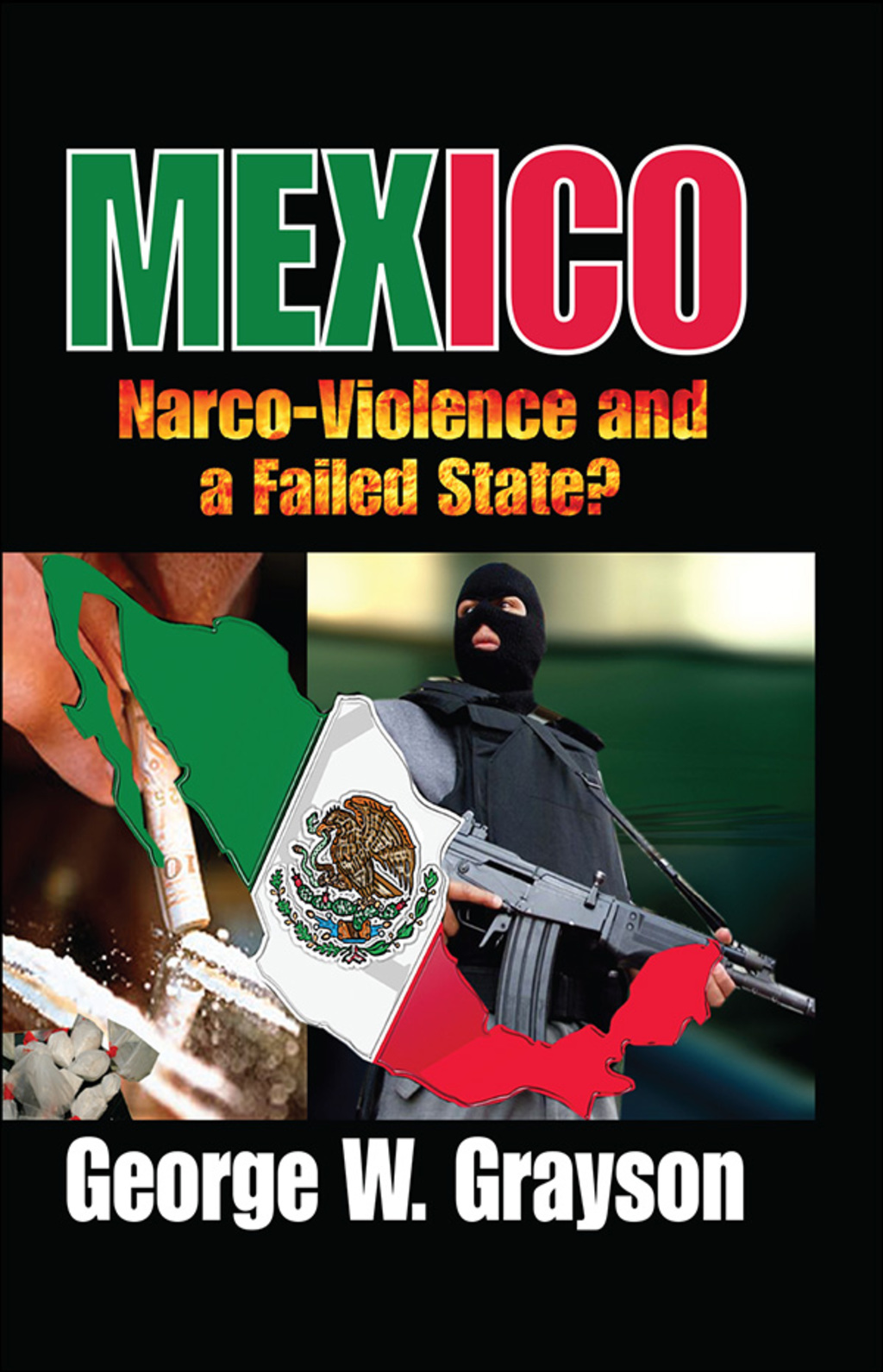 Mexico Narco-Violence and a Failed State? 1st Edition â€“ PDF/EPUB Version Downloadable