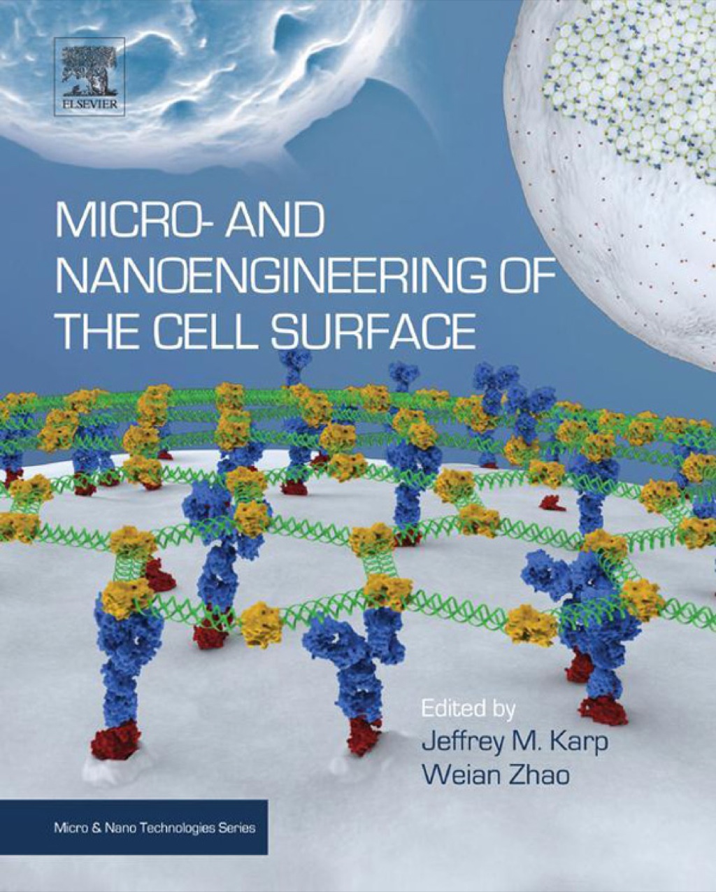 Micro- and Nanoengineering of the Cell Surface  â€“ PDF/EPUB Version Downloadable
