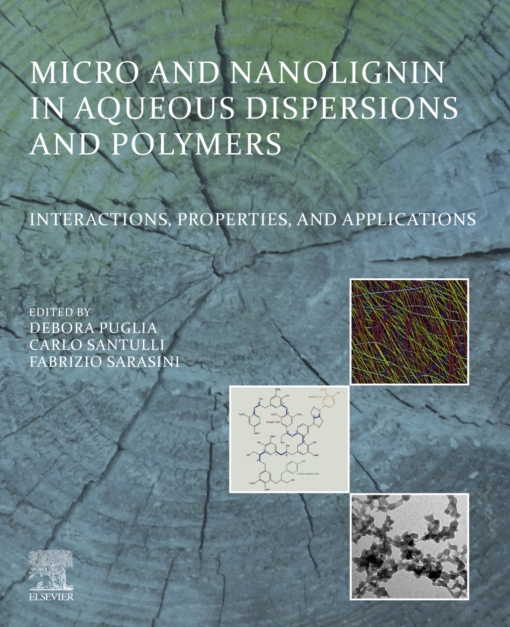Micro and Nanolignin in Aqueous Dispersions and Polymers Interactions, Properties, and Applications  â€“ PDF/EPUB Version Downloadable