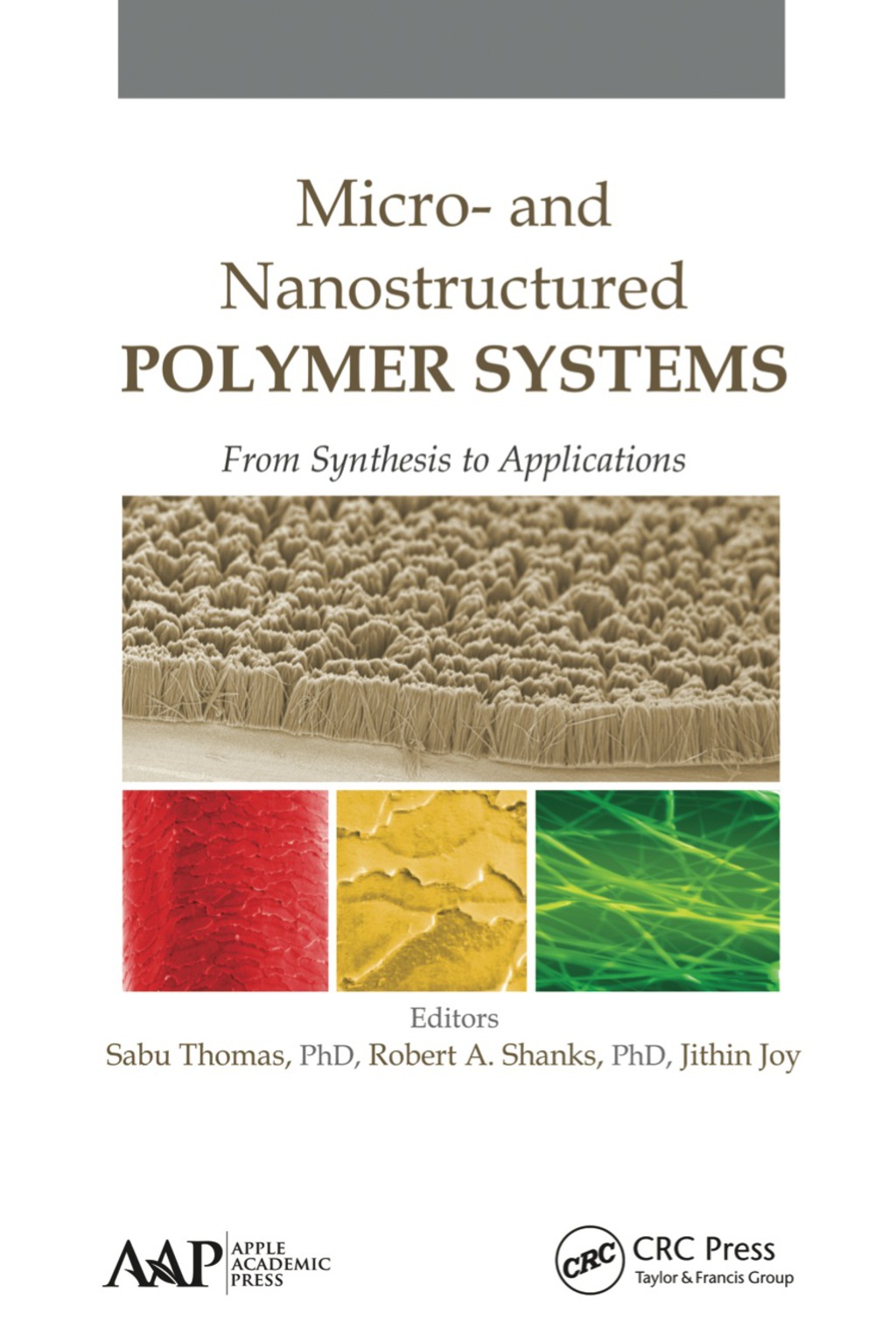 Micro- and Nanostructured Polymer Systems From Synthesis to Applications 1st Edition â€“ PDF/EPUB Version Downloadable