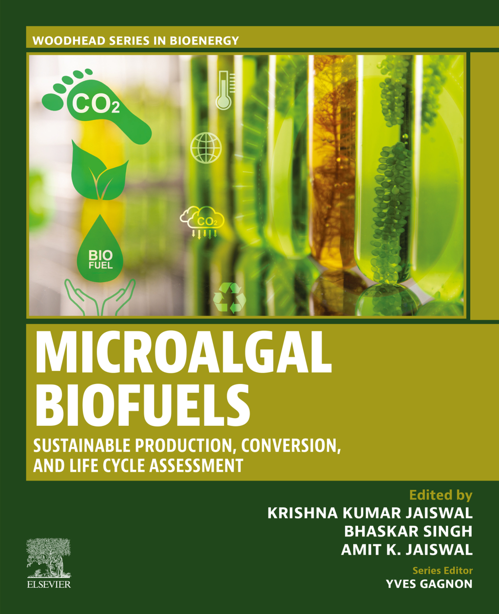 Microalgal Biofuels Sustainable Production, Conversion, and Life Cycle Assessment  â€“ PDF/EPUB Version Downloadable