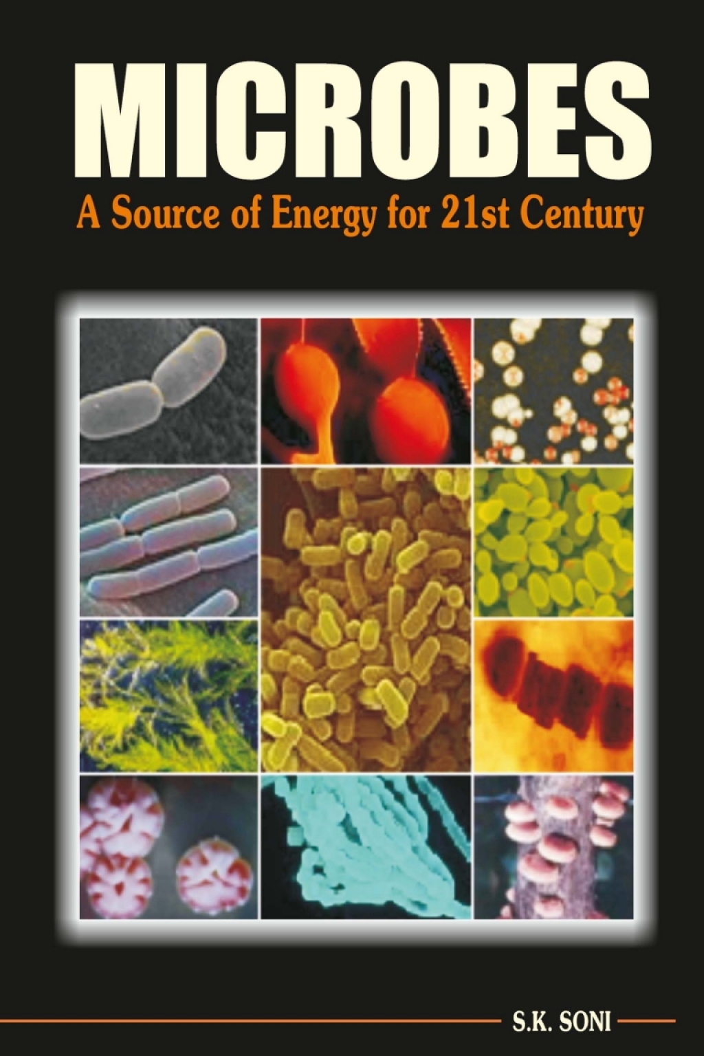Microbes: A Source of Energy for 21st Century 1st Edition â€“ PDF/EPUB Version Downloadable