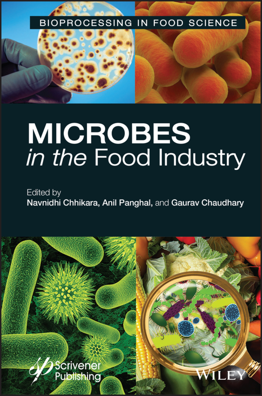Microbes in the Food Industry 1st Edition â€“ PDF/EPUB Version Downloadable